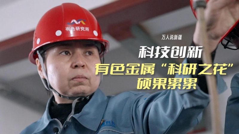 软件稳定性测试：关键步骤与注意事项